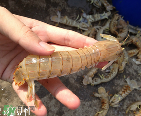 ?皮皮蝦發(fā)綠能吃嗎？?皮皮蝦變綠了還能吃嗎？