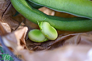 蠶豆可以放冰箱嗎？新鮮蠶豆可以放冰箱嗎？