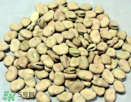 蠶豆長蟲還能吃嗎？蠶豆怎么保存不長蟲？