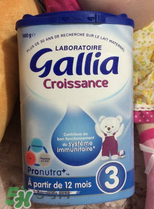 gallia佳利雅奶粉怎么沖？gallia佳利雅奶粉沖調(diào)方法？