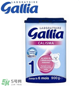 gallia佳利雅奶粉怎么沖？gallia佳利雅奶粉沖調(diào)方法？