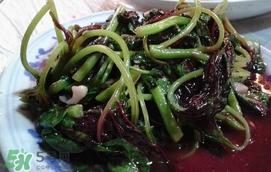 汗菜怎么摘？汗菜怎么擇