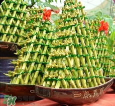 富貴竹有幾個品種？富貴竹有種子嗎？