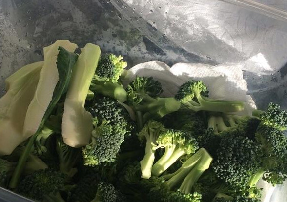 西蘭花如何保存？西蘭花怎么保存不變黃