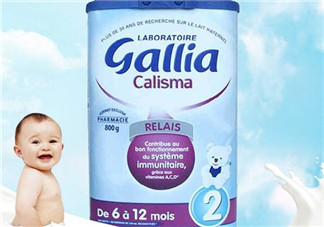 gallia佳利雅奶粉怎么樣？gallia佳利雅奶粉好嗎？