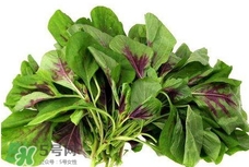 莧菜與什么相克？莧菜與什么食物相克
