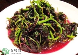 汗菜是發(fā)物嗎？汗菜是不是發(fā)物嗎