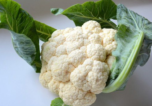 西蘭花是花菜嗎？西蘭花是菜花嗎