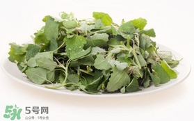 胃酸過(guò)多吃灰灰菜有好處嗎？胃酸過(guò)多能吃灰灰菜嗎