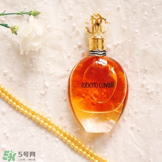roberto cavalli是什么牌子？羅伯托卡沃利是幾線什么檔次？