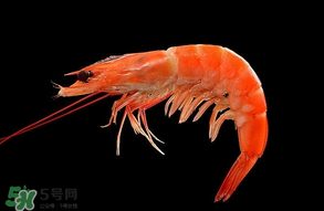 基圍蝦不能和什么一起吃？基圍蝦和什么不能一起吃？