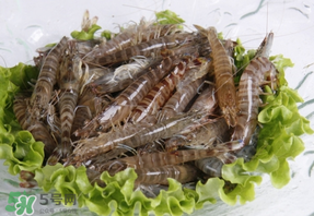 基圍蝦不能和什么一起吃？基圍蝦和什么不能一起吃？