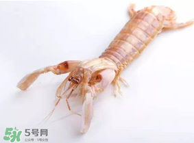 皮皮蝦什么時候有籽？皮皮蝦幾月份有籽？