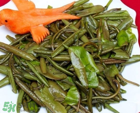 莼菜是什么菜？莼菜是荷葉嗎？