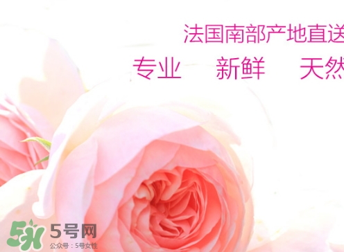 rossi rossa面膜怎么樣？rossi rossa珞珞莊園面膜好不好？