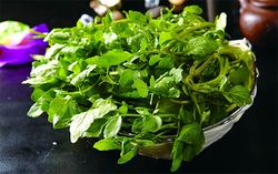 西洋菜怎么摘洗？西洋菜怎么洗才干凈