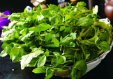 西洋菜怎么摘洗？西洋菜怎么洗才干凈