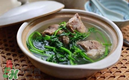 西洋菜怎么吃？西洋菜怎么做好吃