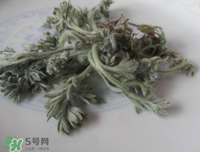白蒿能治黃疸嗎？白蒿水可以治黃疸嗎？