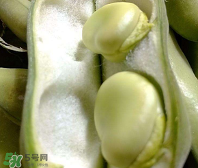 蠶豆多少錢一斤？蠶豆多少錢一斤2017？