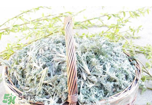 白蒿要焯水嗎？白蒿要不要焯水？