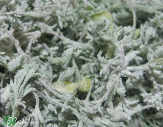 白蒿不能和什么一起吃？白蒿不能與什么同食？