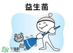 益生菌哪個牌子好？哪個牌子的益生菌好？