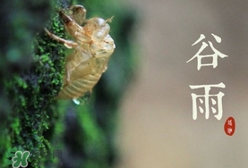 谷雨養(yǎng)生吃什么？谷雨養(yǎng)生常識