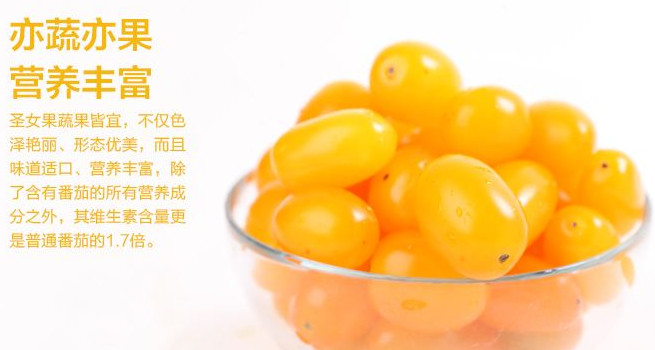 圣女果能減肥嗎？圣女果可以減肥嗎