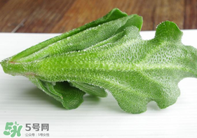 冰草不能和什么一起吃？冰草不能和什么同時(shí)吃？