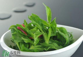 冰草可以放冰箱嗎？冰草能用冰塊保存嗎？