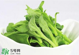 冰草多少錢一斤？非洲冰草多少錢一斤？