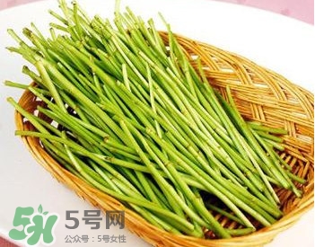蘆蒿與茼蒿有什么區(qū)別？蘆蒿和茼蒿的區(qū)別