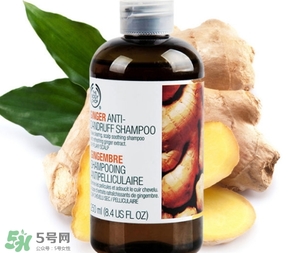 美體小鋪生姜洗發(fā)水怎么樣？the body shop生姜洗發(fā)水使用心得