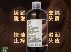 美體小鋪生姜洗發(fā)水怎么樣？the body shop生姜洗發(fā)水使用心得