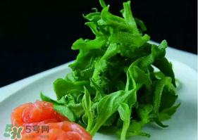 冰草怎么清洗？非洲冰草怎么清洗？