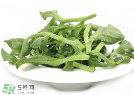 ?冰草為什么會酸？冰草為什么是酸的？