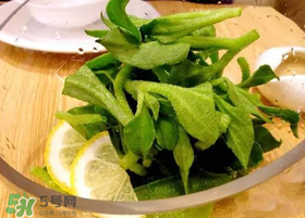冰草用什么醬？冰草用什么醬好吃？