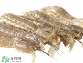 蝦爬子什么季節(jié)最肥？蝦爬子幾月份最肥？