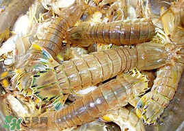 蝦爬子能冷凍嗎？蝦爬子可以冷藏嗎？