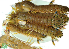 蝦爬子能冷凍嗎？蝦爬子可以冷藏嗎？