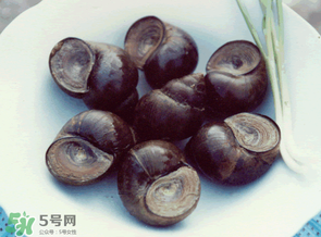 田螺不能和什么一起吃？田螺和什么不能一起吃？