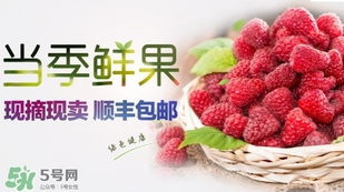 刺泡是覆盆子嗎？刺泡和覆盆子的區(qū)別