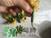 黃瓜花能吃嗎？黃瓜花怎么吃