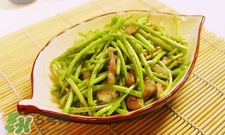 蘆蒿與茼蒿有什么區(qū)別？蘆蒿和茼蒿的區(qū)別