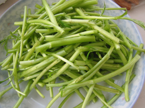 蘆蒿是發(fā)物嗎？蘆蒿是不是發(fā)物