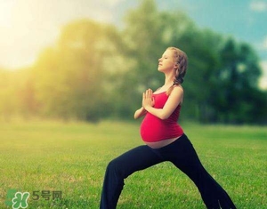 孕婦能吃雞精嗎？孕婦能吃雞精和味精嗎？