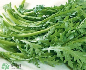 蘆蒿與茼蒿有什么區(qū)別？蘆蒿和茼蒿的區(qū)別