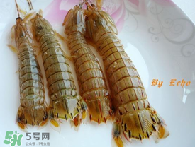 蝦爬子能放多久？蝦爬子怎么保存時(shí)間長(zhǎng)？