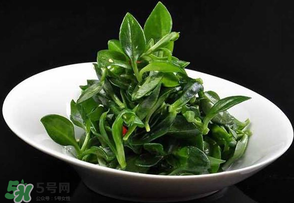 冰草是田七嗎？冰草和田七一樣嗎？